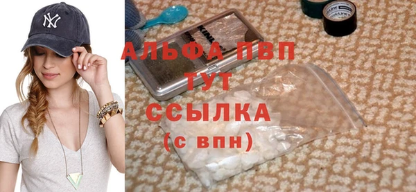 ГАЛЛЮЦИНОГЕННЫЕ ГРИБЫ Осинники